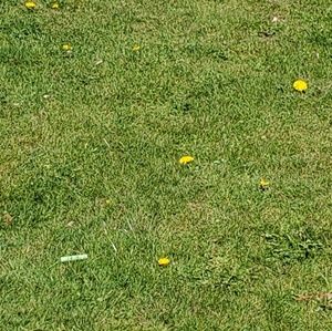 Meet your Posher, Katrina